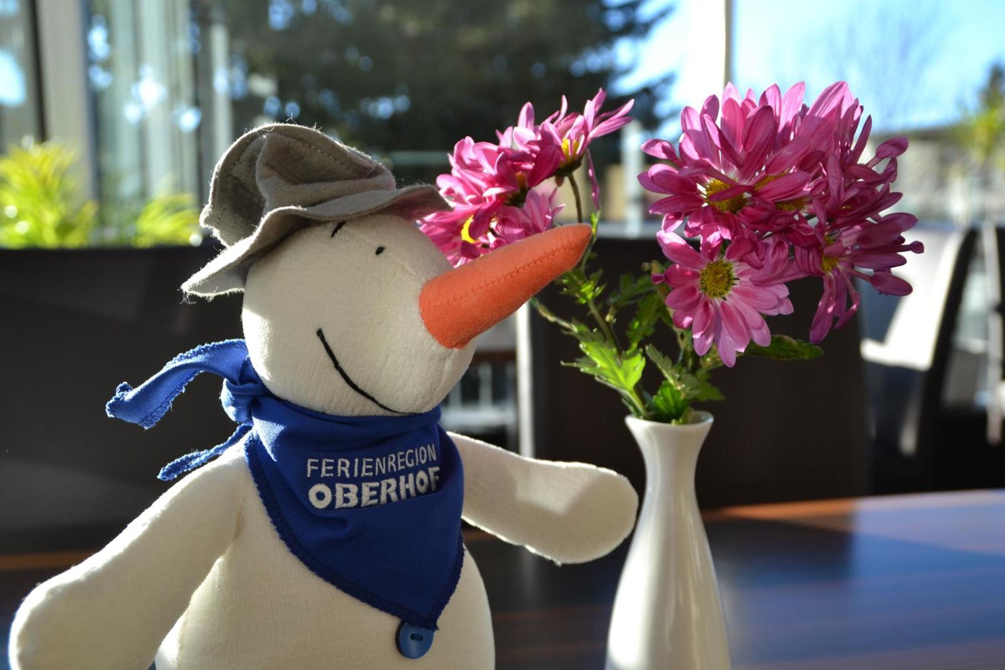 Chalet Sonnenhang Oberhof Oberhof  Buitenkant foto